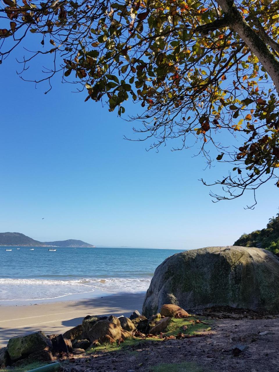 Hotel Las Palmas Residencial Florianópolis Exterior foto